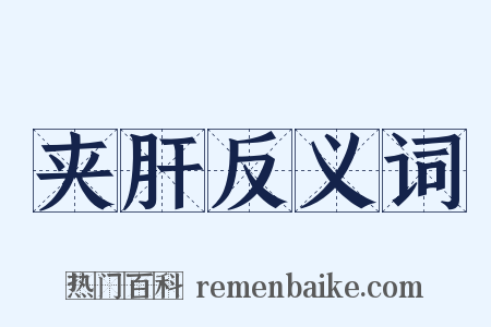 夹肝反义词是什么意思的图片